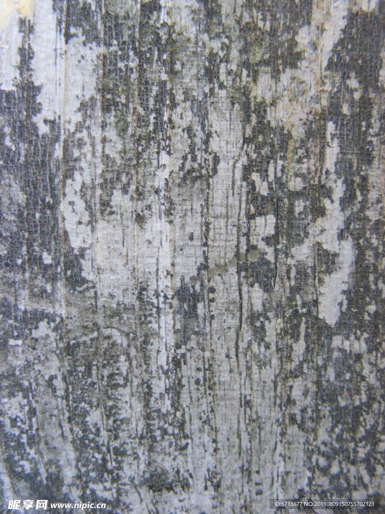 老木頭