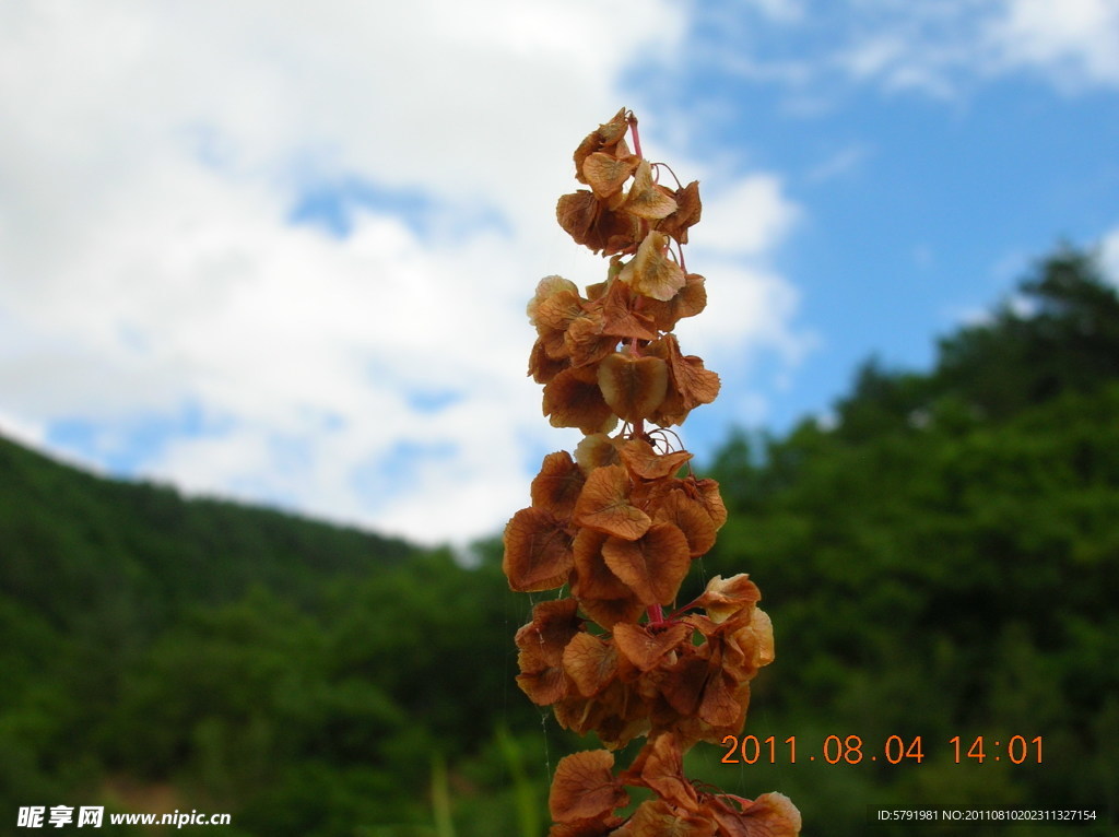 田園風(fēng)光