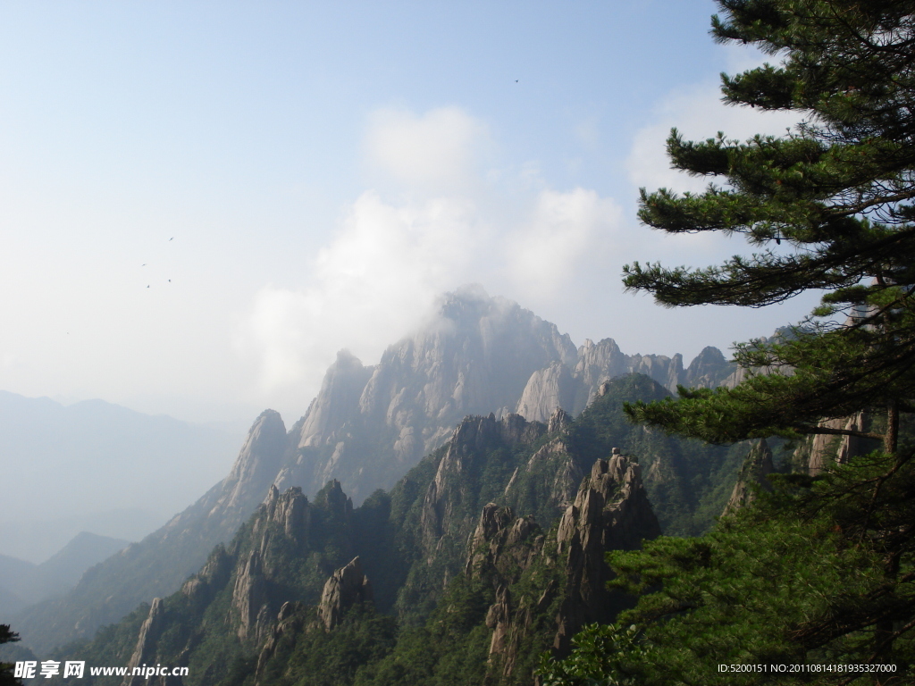 高山高樹