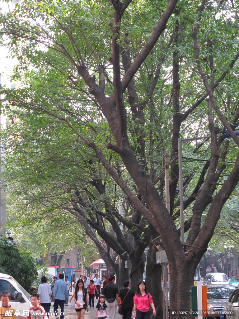 坪山公園