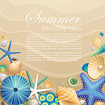 沙滩 贝壳 海螺 海星 珍珠
