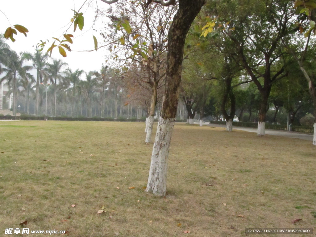 大學(xué)一角