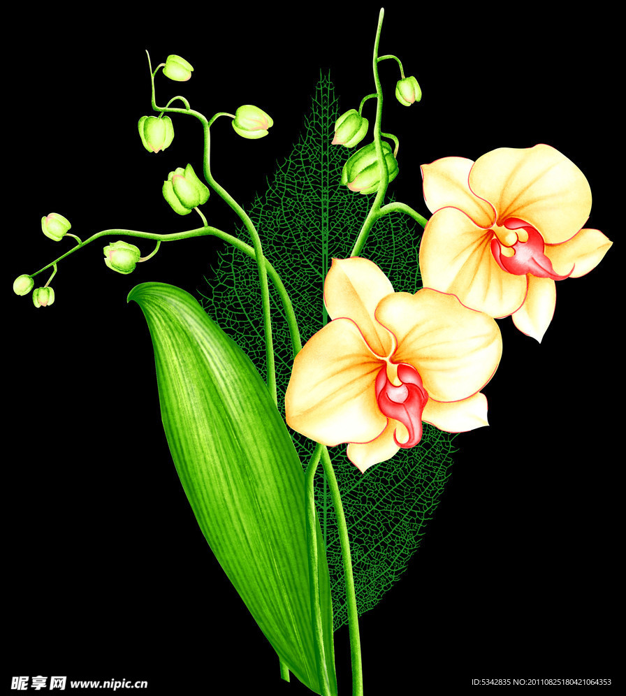 鮮花
