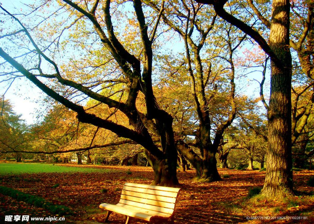 秋日公園美景
