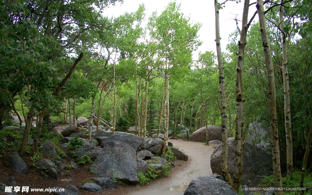 雨后風(fēng)光