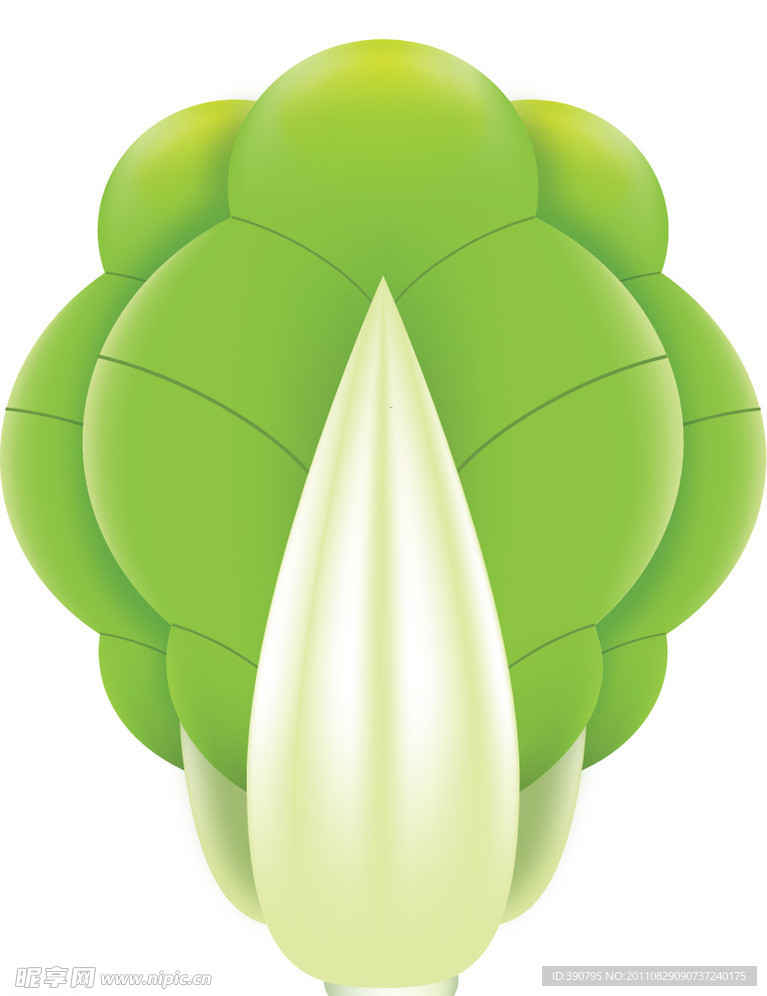 大青菜