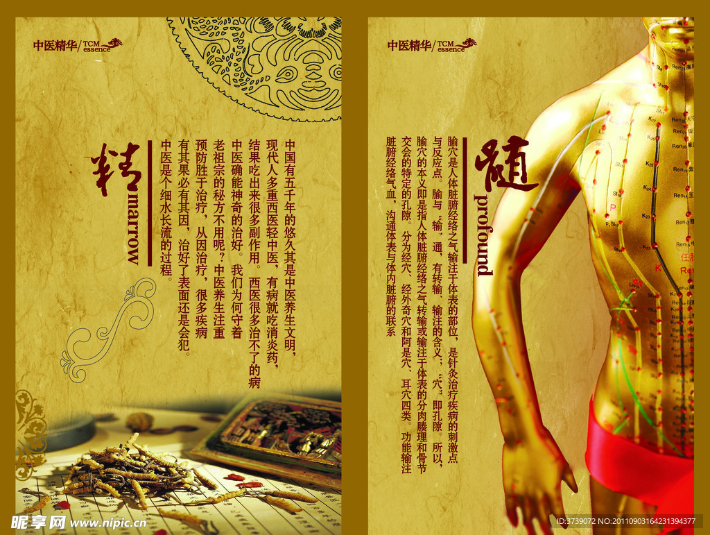 中醫(yī)文化