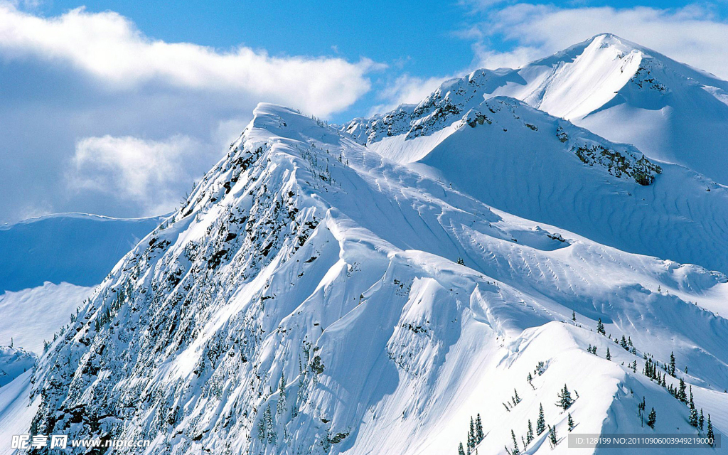 美丽雪景