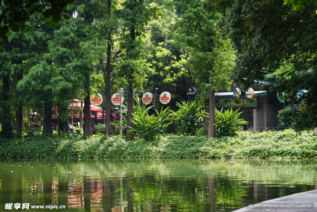 湖畔風景