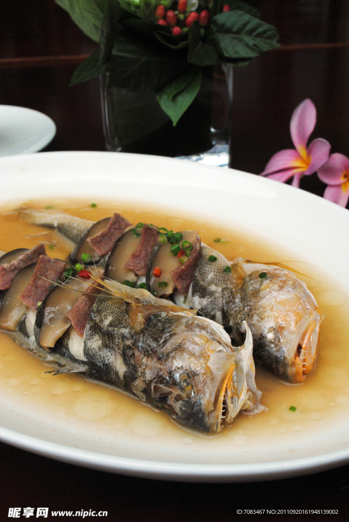 小黃魚