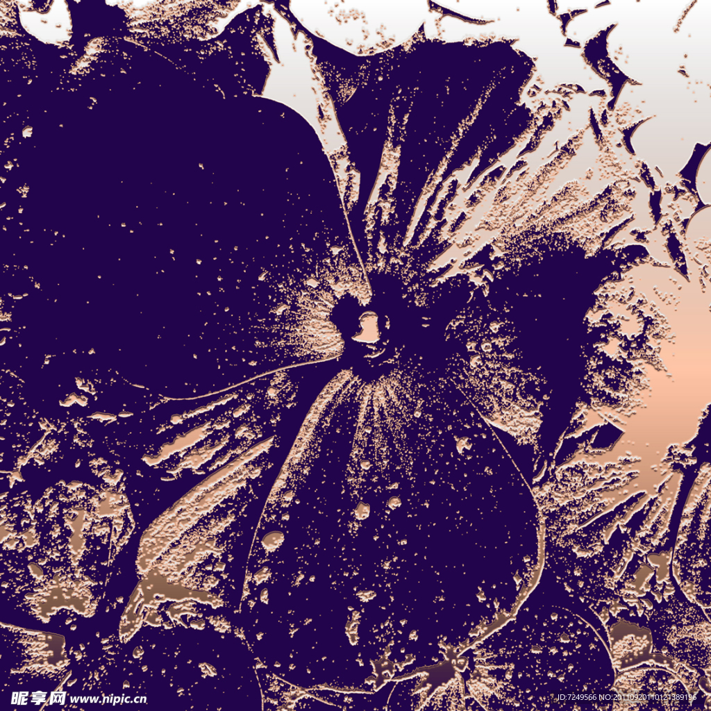 花瓣