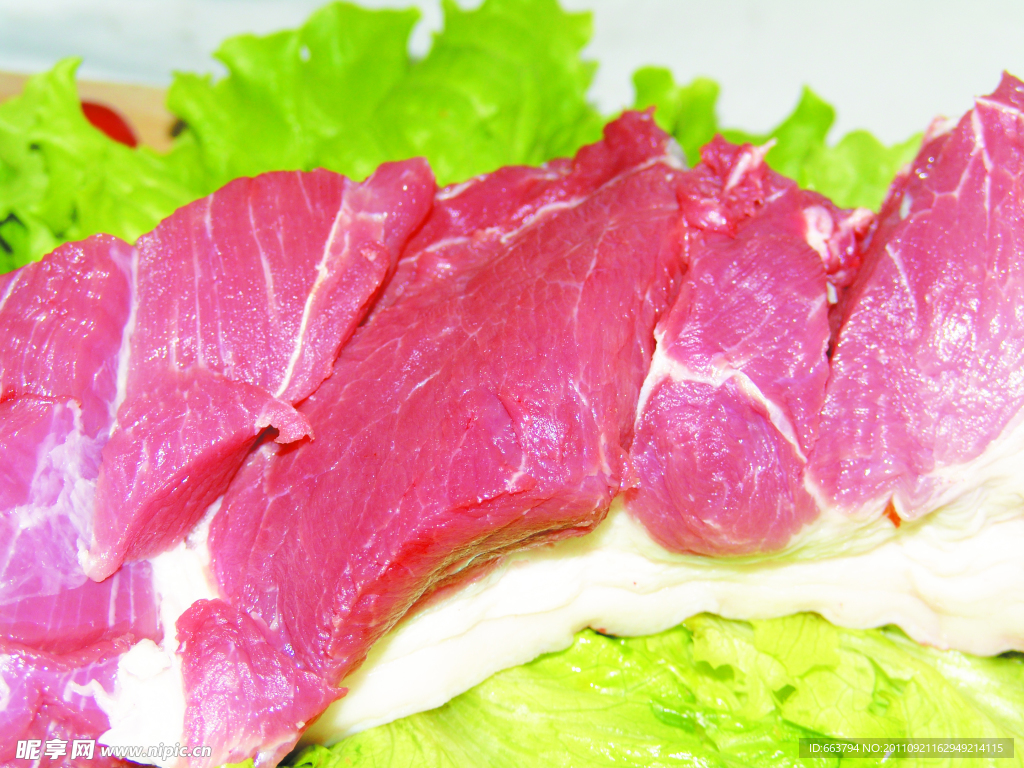 豬肉前槽