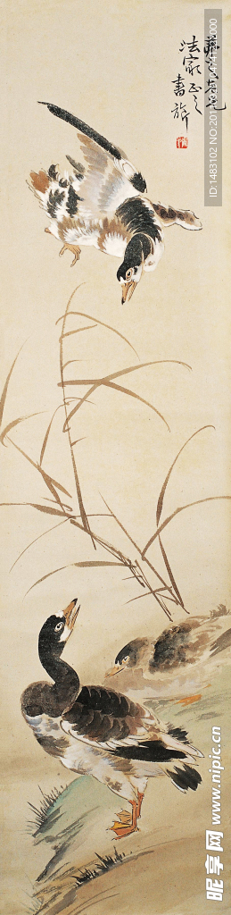 蘆雁