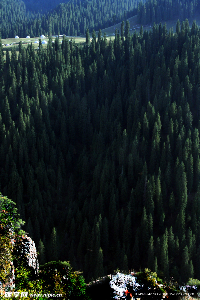 麥田遠山