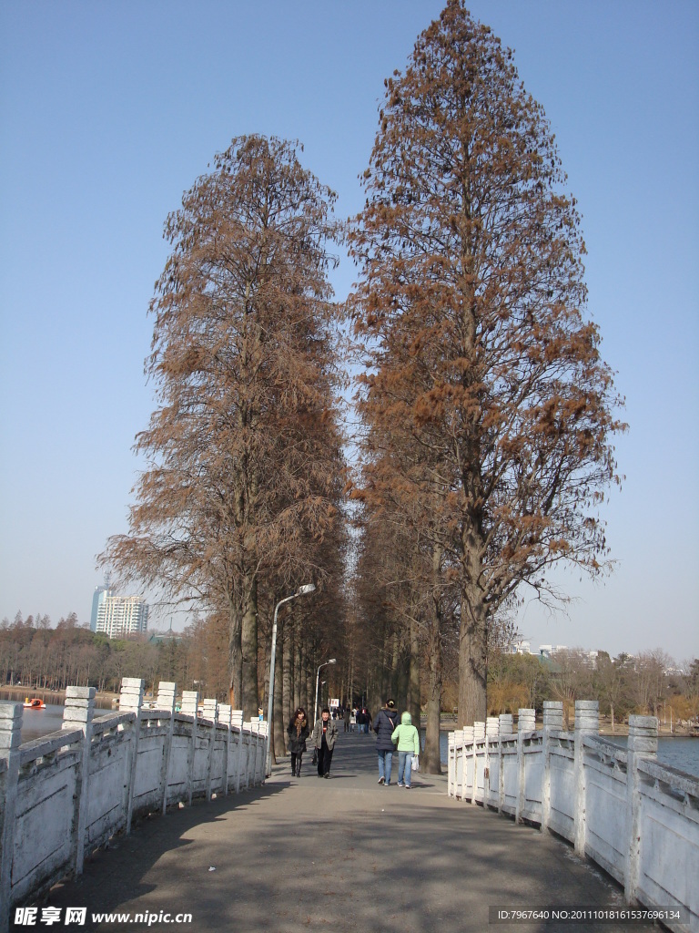 東湖風(fēng)景