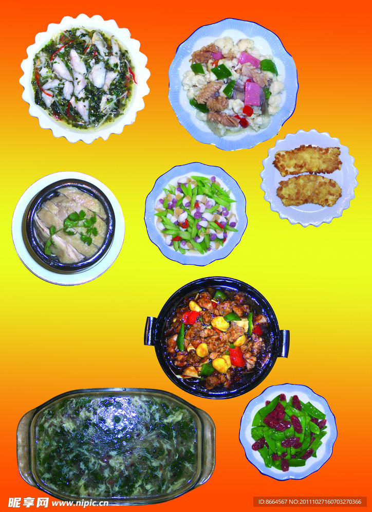 菜式素材