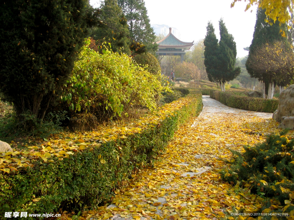 金秋公園