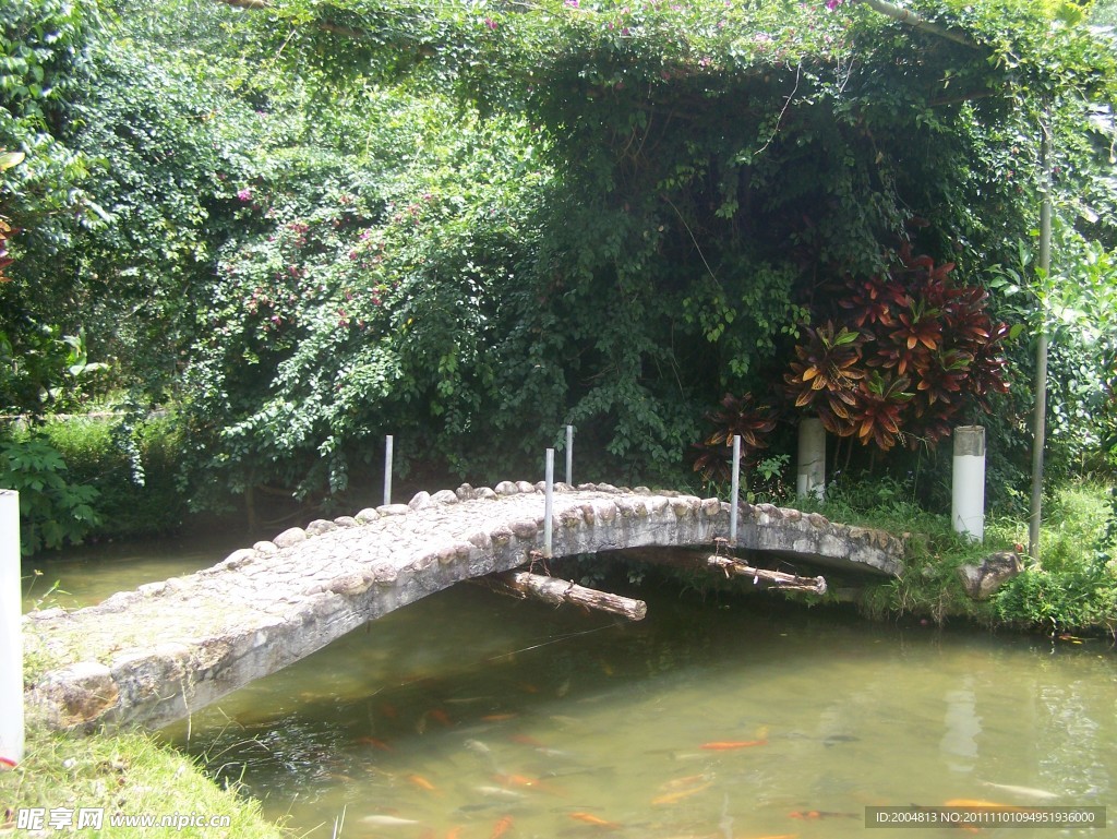 木橋