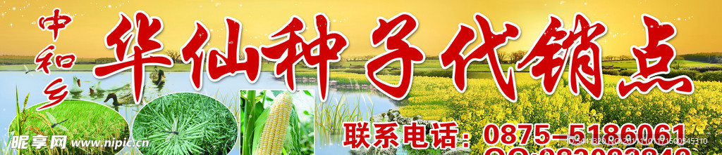 油菜风景 水稻 包谷 鸭子模板