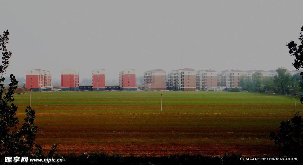 新村的早晨