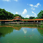 仙湖植物园 盘景园