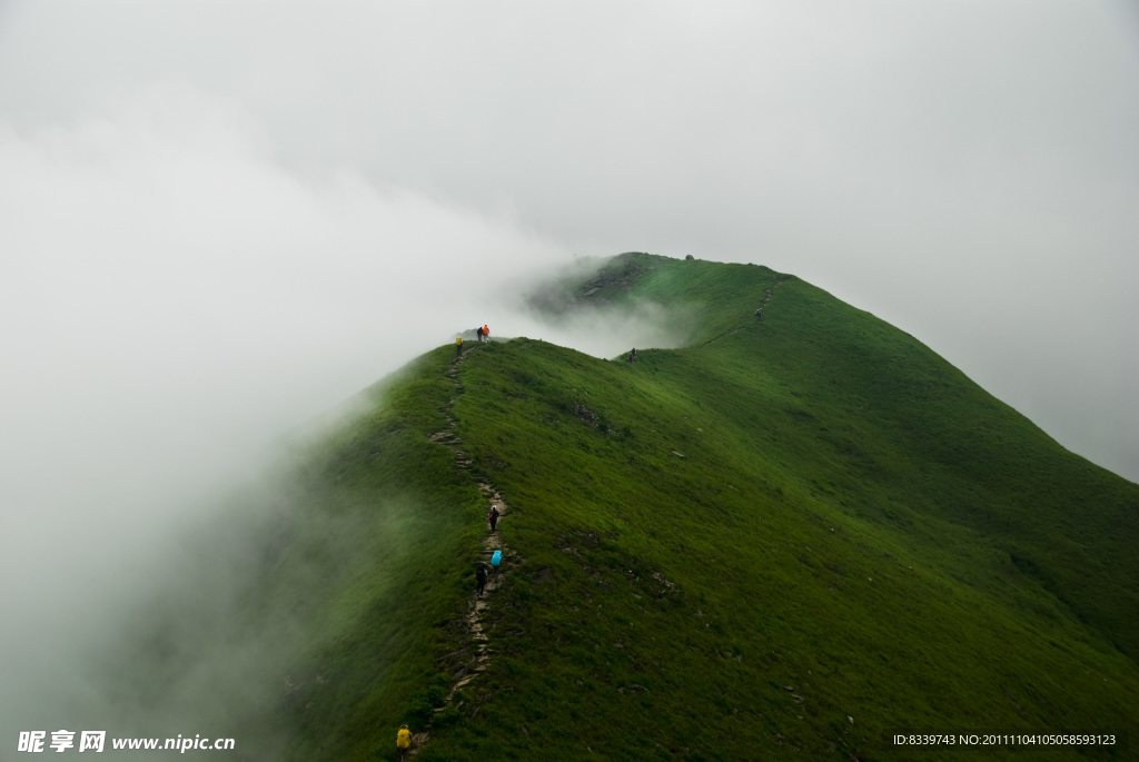 霧托青山