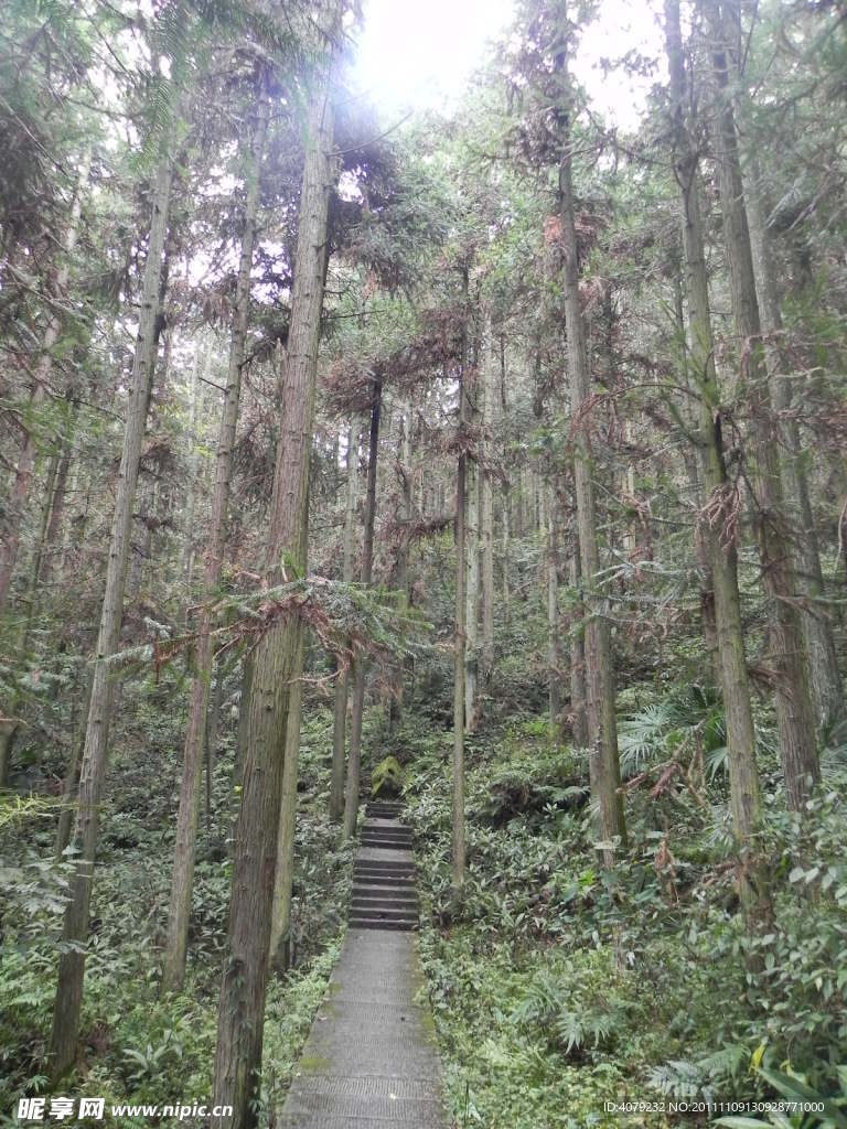 張家界國(guó)家森林公園