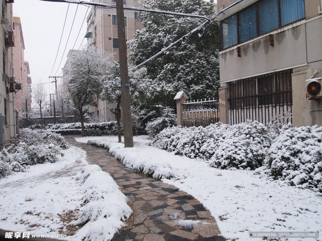 城市雪景