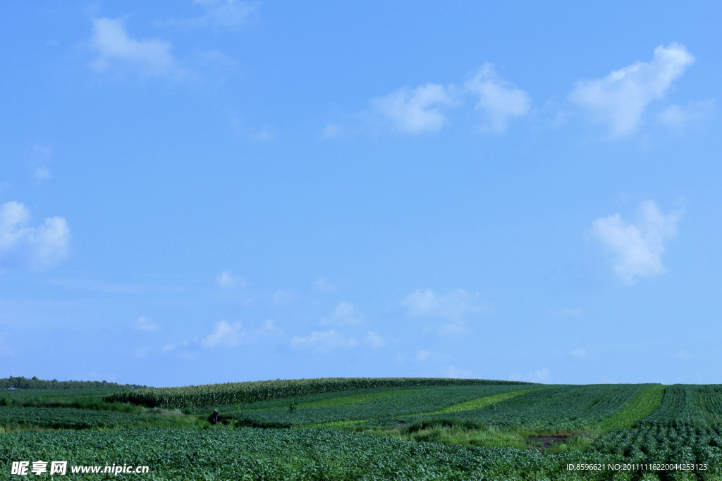 草原藍天