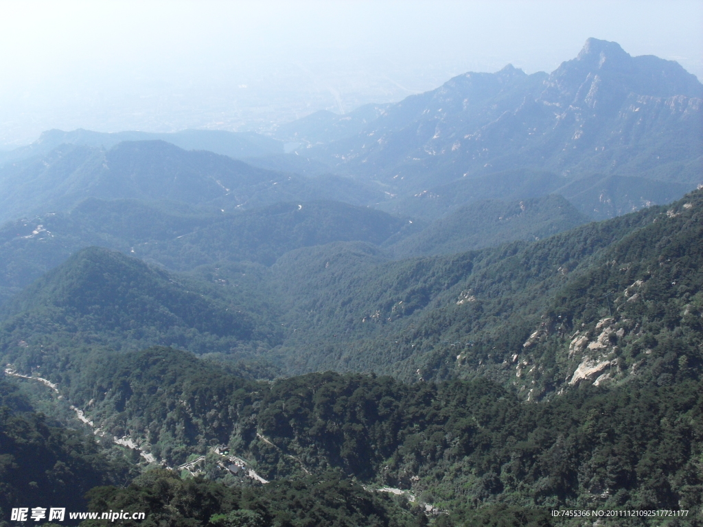 泰山