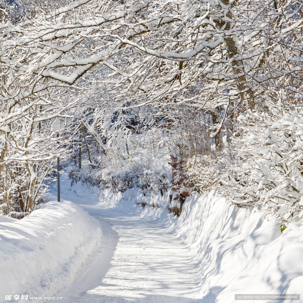 小路冬季雪景