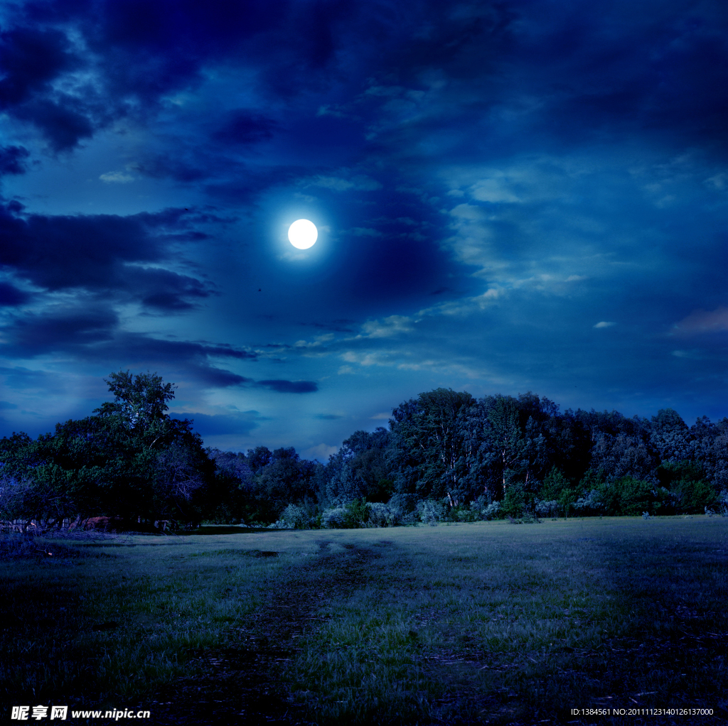郊外樹林夜景