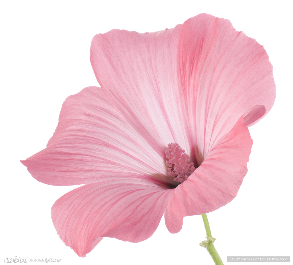 牽?；? />
                            </div>
                    </div>
                </div>



                <div   id=