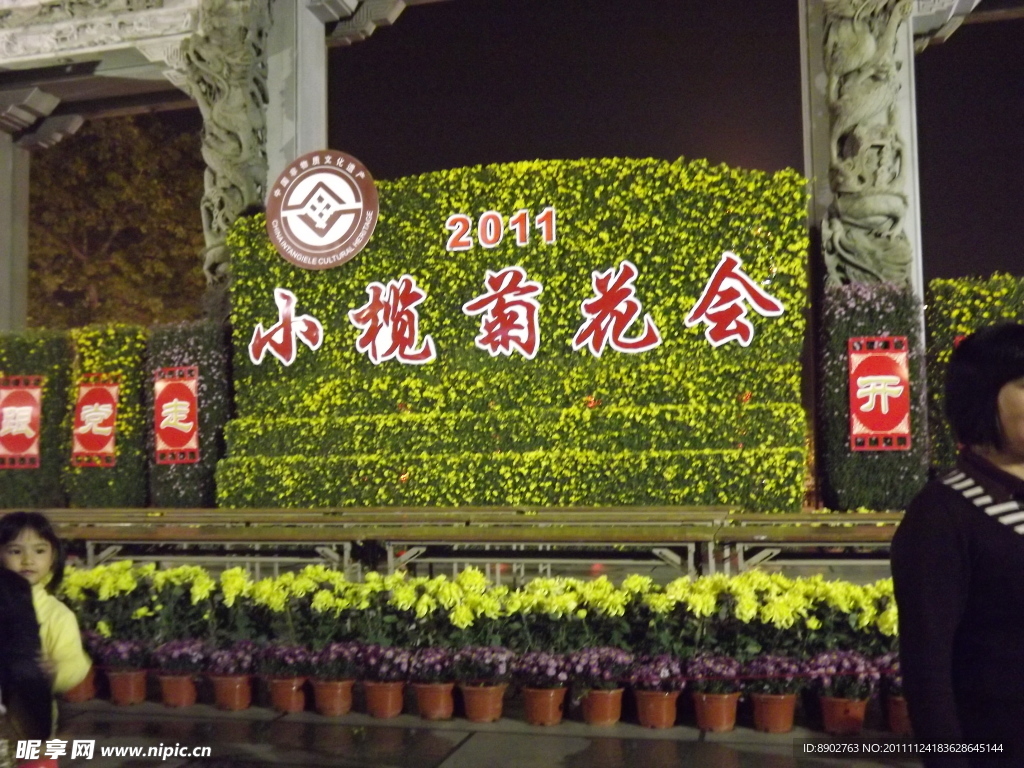 小欖菊花會