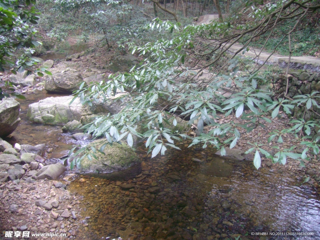 五泄山水 溪流