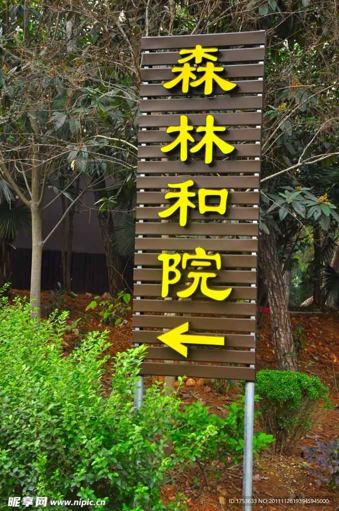 天紫湖風(fēng)景