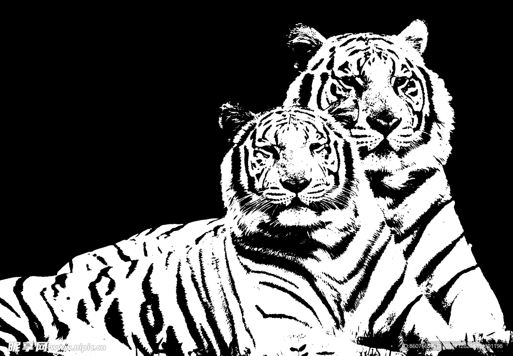欧式装饰画 两只老虎
