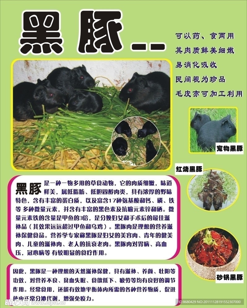 黑豚海報