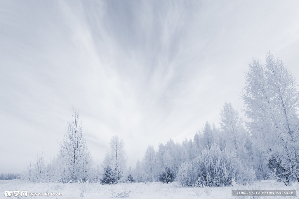 雪景山林