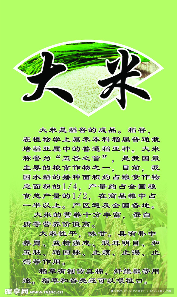 大米 大米介紹
