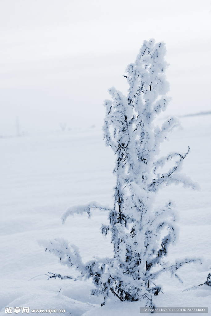 雪景