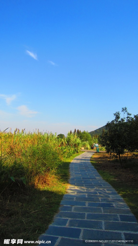 自然風景 藍天