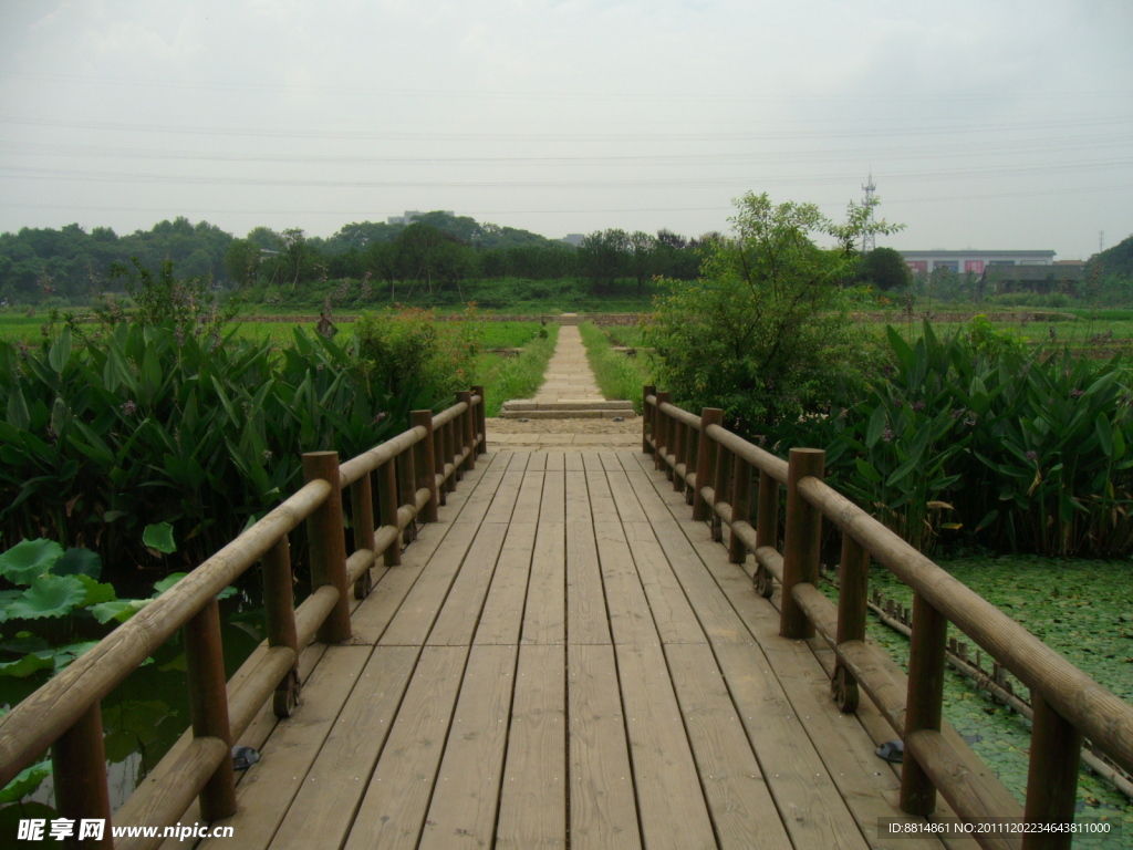 南宋八卦田 木橋