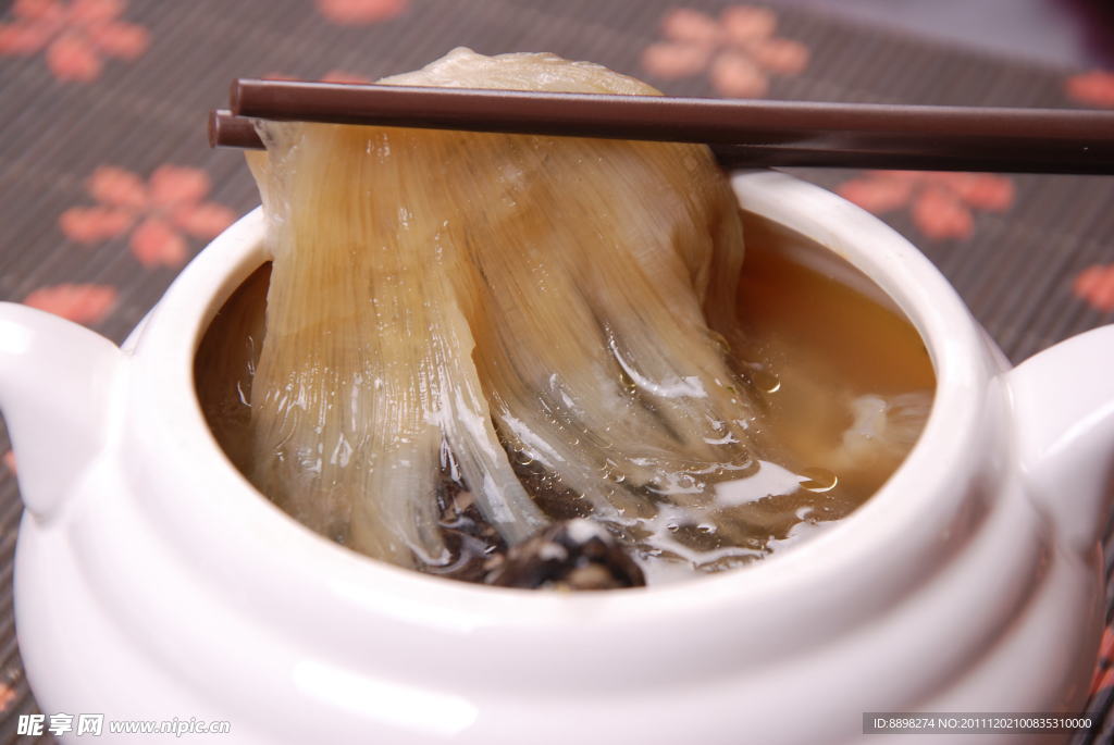 甲魚仔燉翅