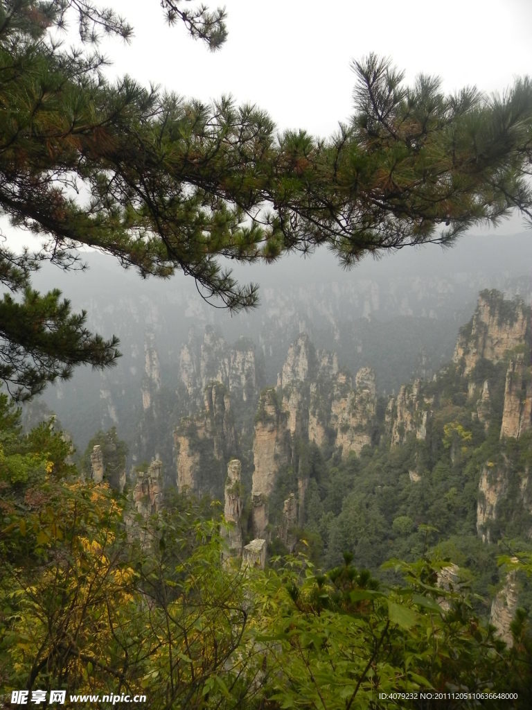 張家界美景一角