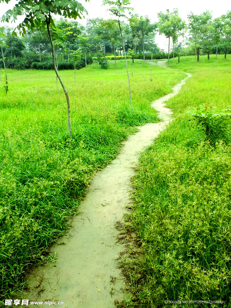 鄉村小路