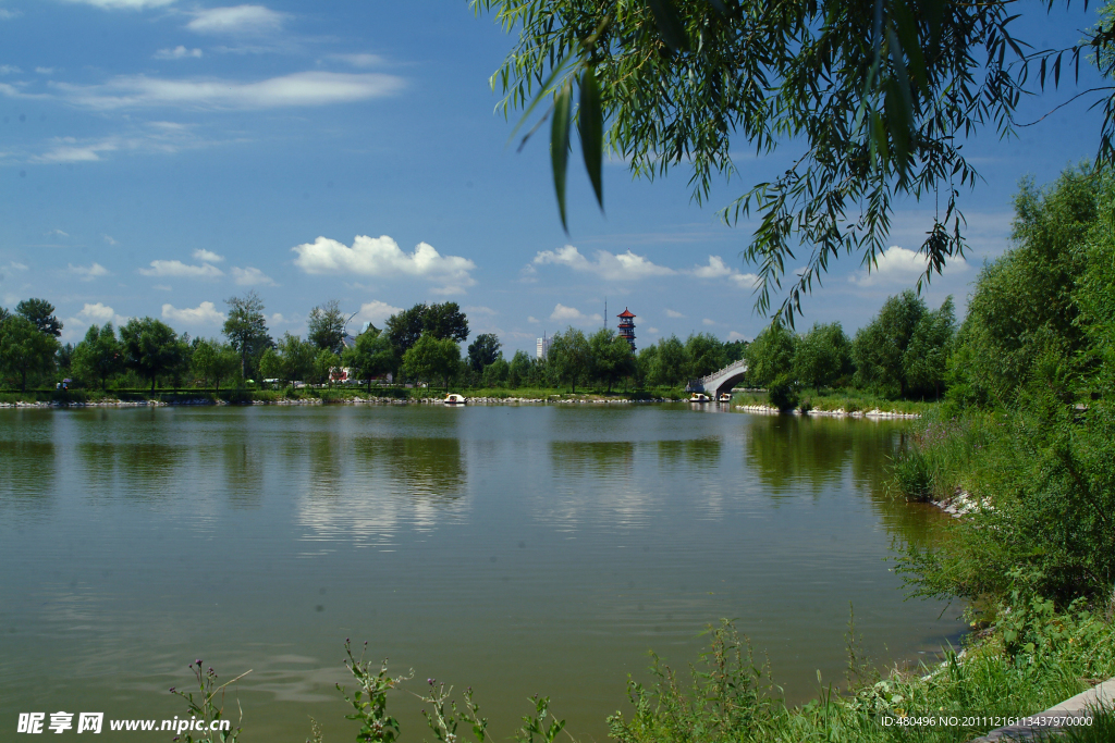 森林公園