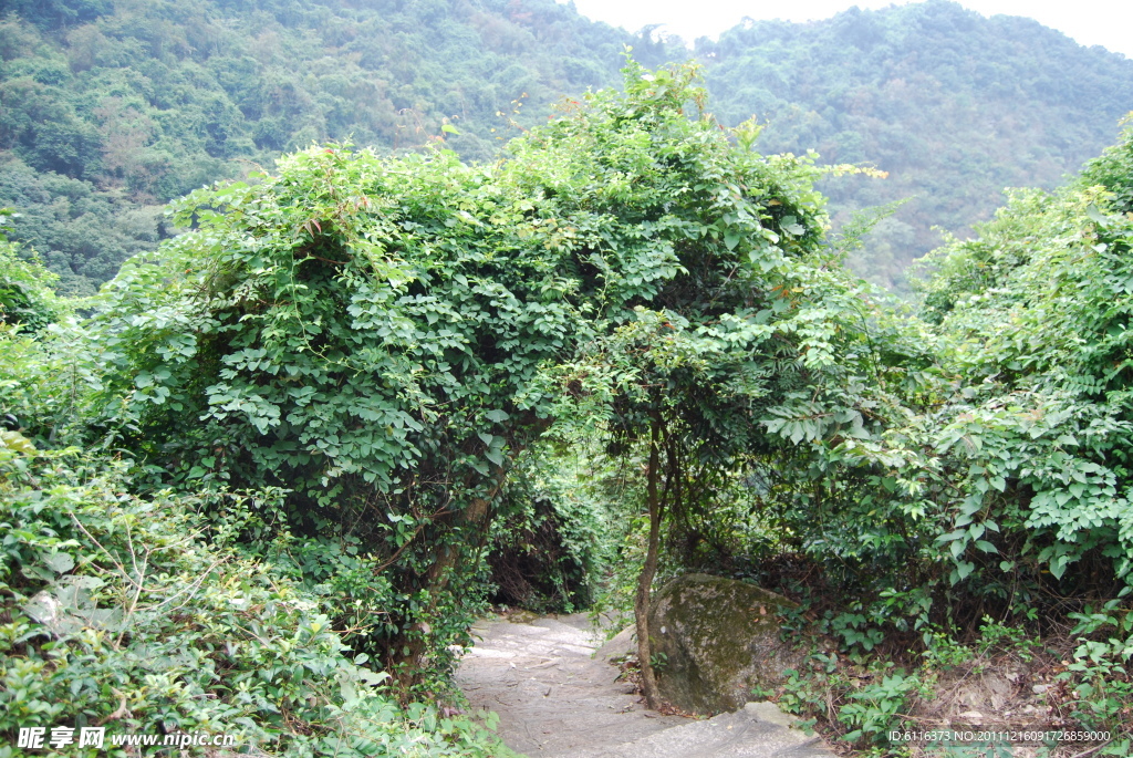 深圳園山風景