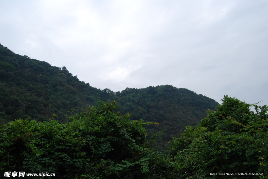 深圳園山風(fēng)景