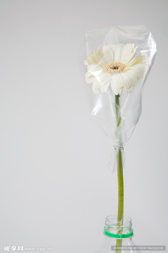 水瓶 鮮花